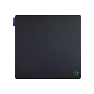 Razer 雷蛇 (客訂品)重裝甲蟲 V2 PRO Max Control L(最高控制) 滑鼠墊