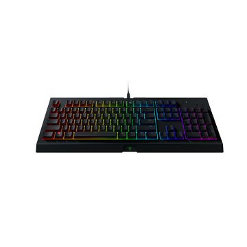 RaZER Cynosa Chroma薩諾狼蛛薄膜鍵盤幻彩(中)