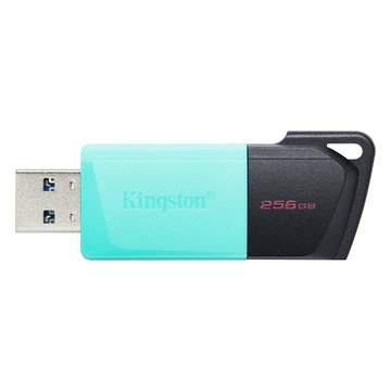 Kingston 金士頓 DataTraveler Exodia M 256GB USB3.2 隨身碟(DTXM/256GB)