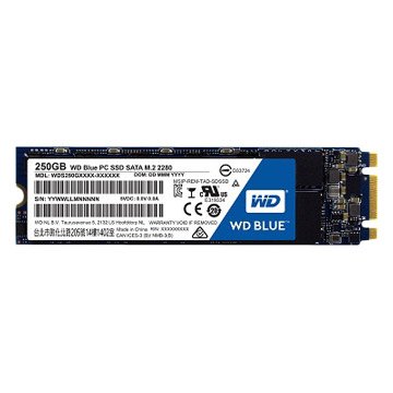 WD 藍標250G M.2 2280 SATA3 SSD