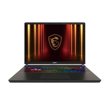 Sai樣 參考專用 MSI 微星Vector 17 HX AI A2XWHG-064TW/黑(17