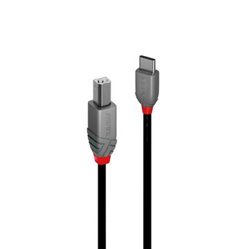 LINDY 林帝 ANTHRA USB2.0 C公toType-B公 1M 36941 USB連接線