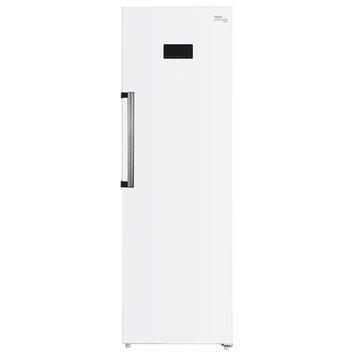TECO 東元 RL285SXW 285L 直立式變頻無霜冷凍櫃