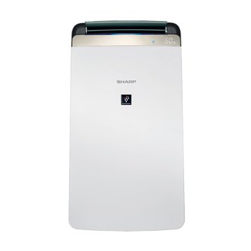 SHARP DW-J10FT-W 10L衣物乾燥空淨除濕機