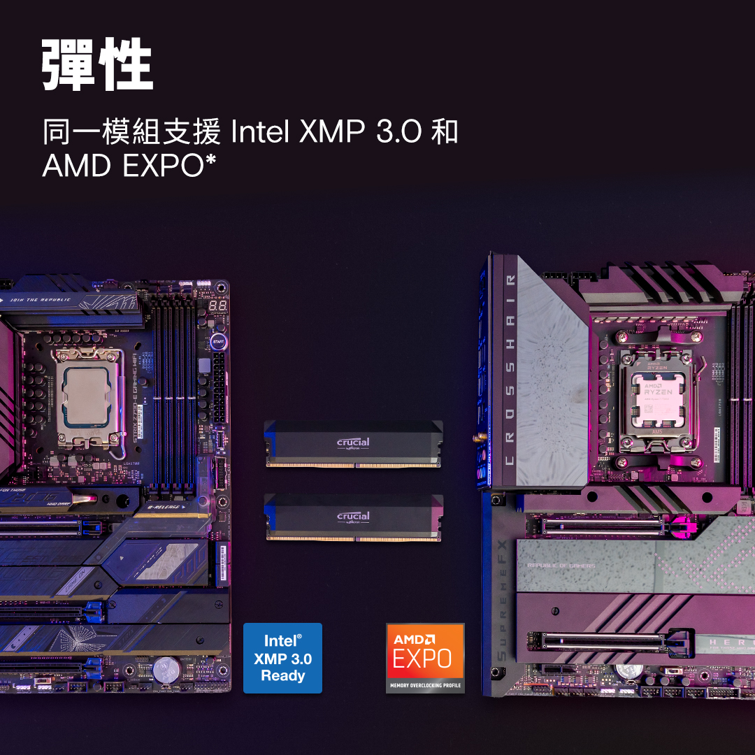 簡介252N78/2026010915030401.jpg